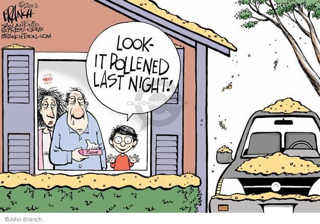 funny photo that says look it pollened last night and pollen everywhere like snow
