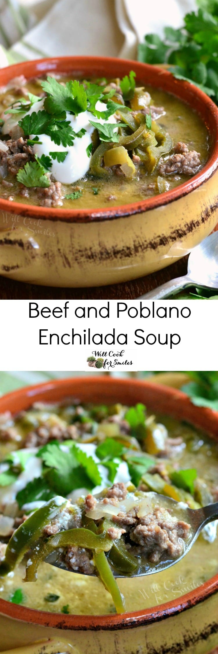 Beef and Poblano Enchilada Soup. Wonderful beef enchilada soup that's loaded with veggies and poblano peppers.