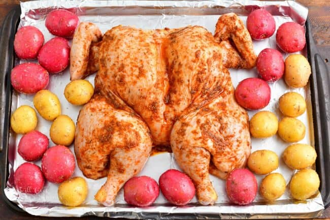 seasoned spatchcock chicken not cooked and potatoes around it.
