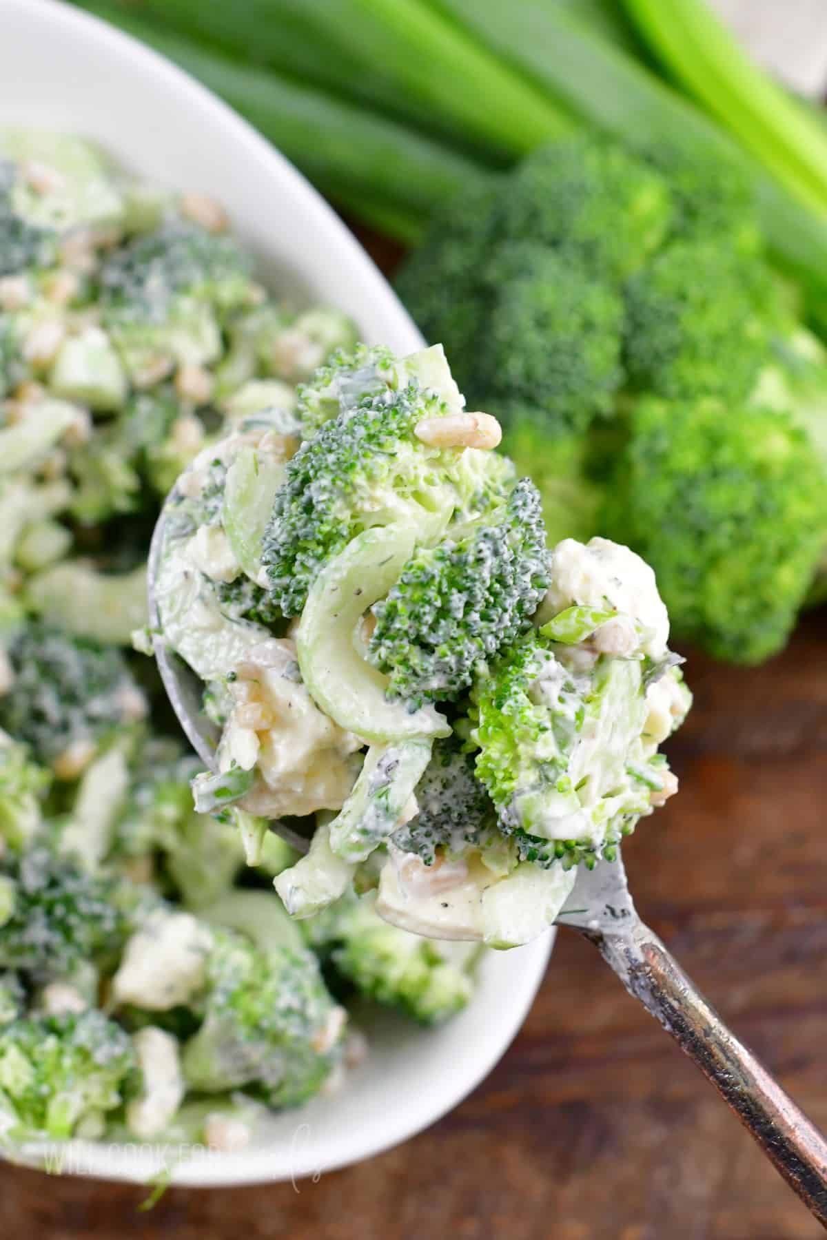 A spoon is lifting a portion of broccoli salad above the bowl.