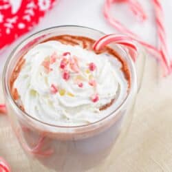 a glass mug of hot chocolate topped with whipped cream, peppermint crunch, and candy canes around.