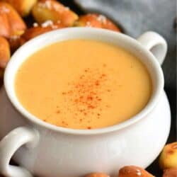 bright beer cheese dip topped with paprika and surrounded with pretzel bites.