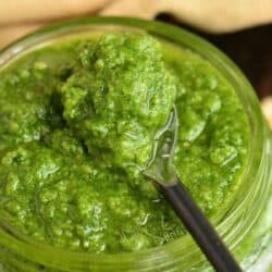 scooped pesto spooned on the metal spoon on top of the jar.