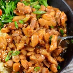 scooping some chicken teriyaki from a bowl with a fork.