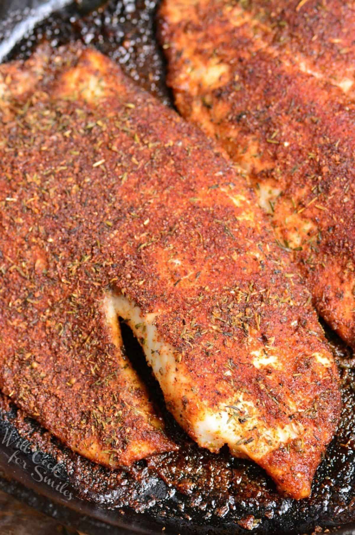 Two cooked tilipia filets covered in blackening season in a cast iron skillet.