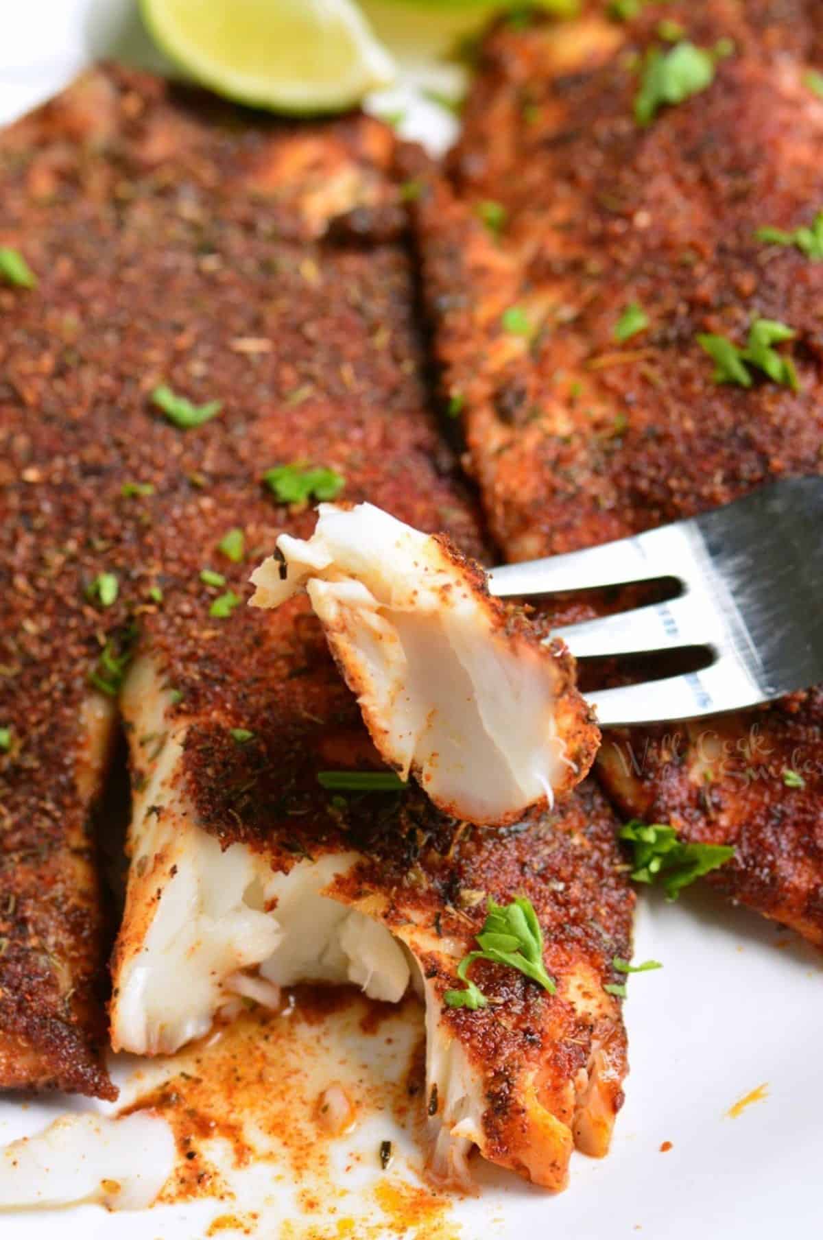 Flaking off a peice of tilapia with a fork.