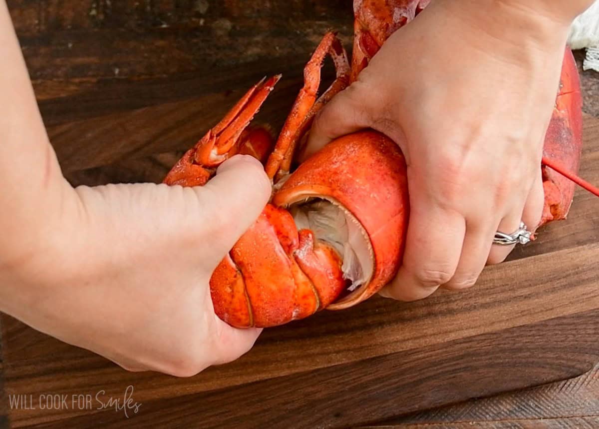 taking off the lobster tail from the whole lobster.