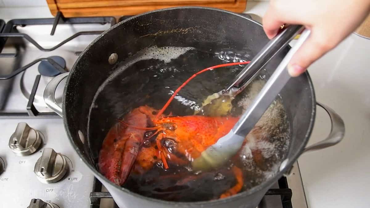 taking the cooked lobster out of the pot using long metal tongs.